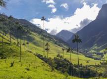 Colombia: Culture, Coffee & Caribbean