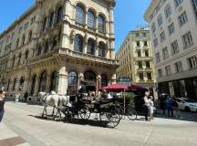 Central Europe: Castles, Culture & Capitals