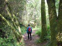 Portuguese Camino Highlights Walk