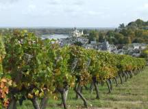 Cycle the Loire Valley