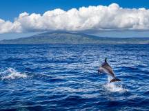 Walking in the Azores