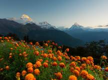 Walking Annapurna Foothills – Privately Guided