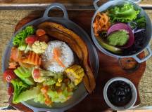 Wild Costa Rica – Premium Adventure