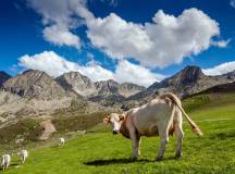 Walking the Rugged Pyrenees of Andorra