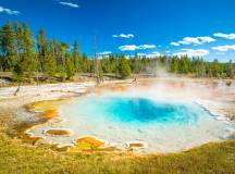 Yellowstone Walks & Wildlife