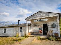 Yellowstone Walks & Wildlife