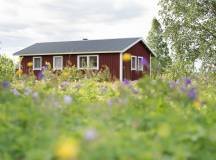 North Sweden: Active Summer Adventure