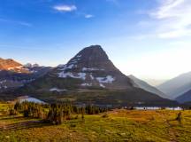 Yellowstone Walks & Wildlife