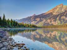 Yellowstone Walks & Wildlife