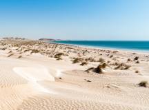 Oman Desert Odyssey