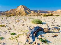 Oman Desert Odyssey
