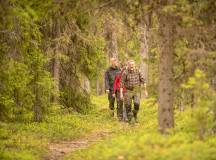 North Sweden: Active Summer Adventure