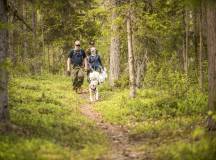 North Sweden: Active Summer Adventure