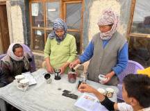 The Himalayan Community Support Project, Nepal & India