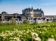 Loire Valley: Walks, Wine & Chateaux