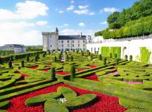 Loire Valley: Walks, Wine & Chateaux