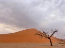 Botswana & Namibia: Delta & Dunes