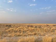 Botswana & Namibia: Delta & Dunes
