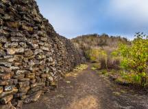 Galapagos: In Darwin’s Footsteps