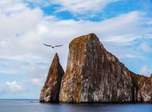 Galapagos: In Darwin’s Footsteps