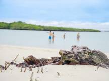 Galapagos: In Darwin’s Footsteps