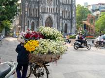 Best of Vietnam – Premium Adventure