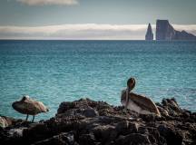 Galapagos: In Darwin’s Footsteps