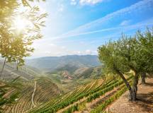 Discover Northern Portugal – Premium Adventure