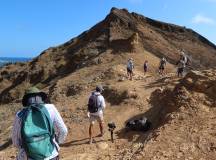 Galapagos: In Darwin’s Footsteps