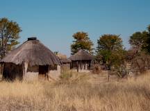 Wildlife & Wilderness of Botswana