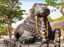 Discover South India – Premium Adventure