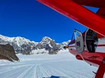 Alaska Wildlife & Wilderness