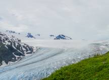 Alaska Wildlife & Wilderness