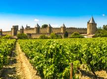 Carcassonne vineyards