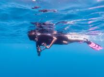 Galapagos: In Darwin’s Footsteps