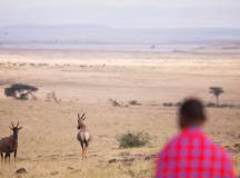 Kenya Safari Adventure