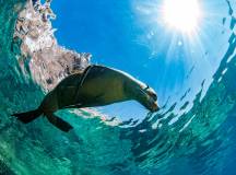Highlights of Ecuador & the Galapagos