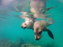 Highlights of Ecuador & the Galapagos