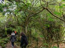 Machu Picchu & Galapagos