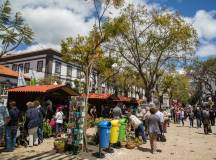 Madeira Discovery – Premium Adventure