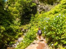 Madeira Discovery – Premium Adventure