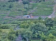 Madeira Discovery – Premium Adventure