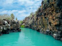 Highlights of Ecuador & the Galapagos