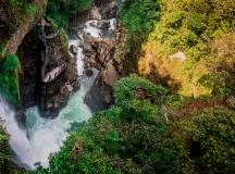 Highlights of Ecuador & the Galapagos