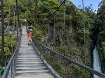 Highlights of Ecuador & the Galapagos