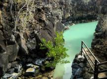 Highlights of Ecuador & the Galapagos