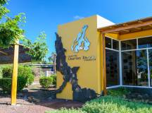 Highlights of Ecuador & the Galapagos