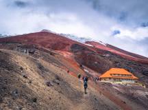 Highlights of Ecuador & the Galapagos