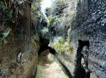 Highlights of Ecuador & the Galapagos