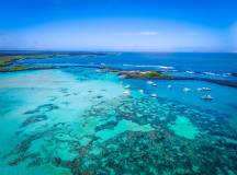 Highlights of Ecuador & the Galapagos